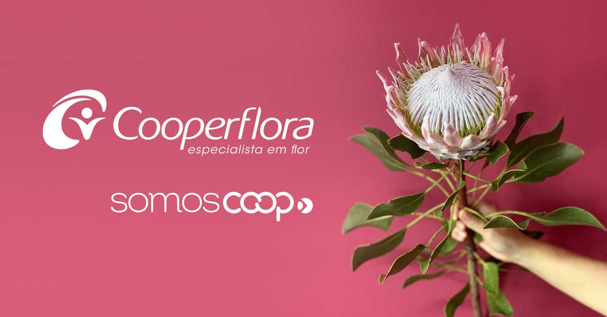 (c) Cooperflora.com.br